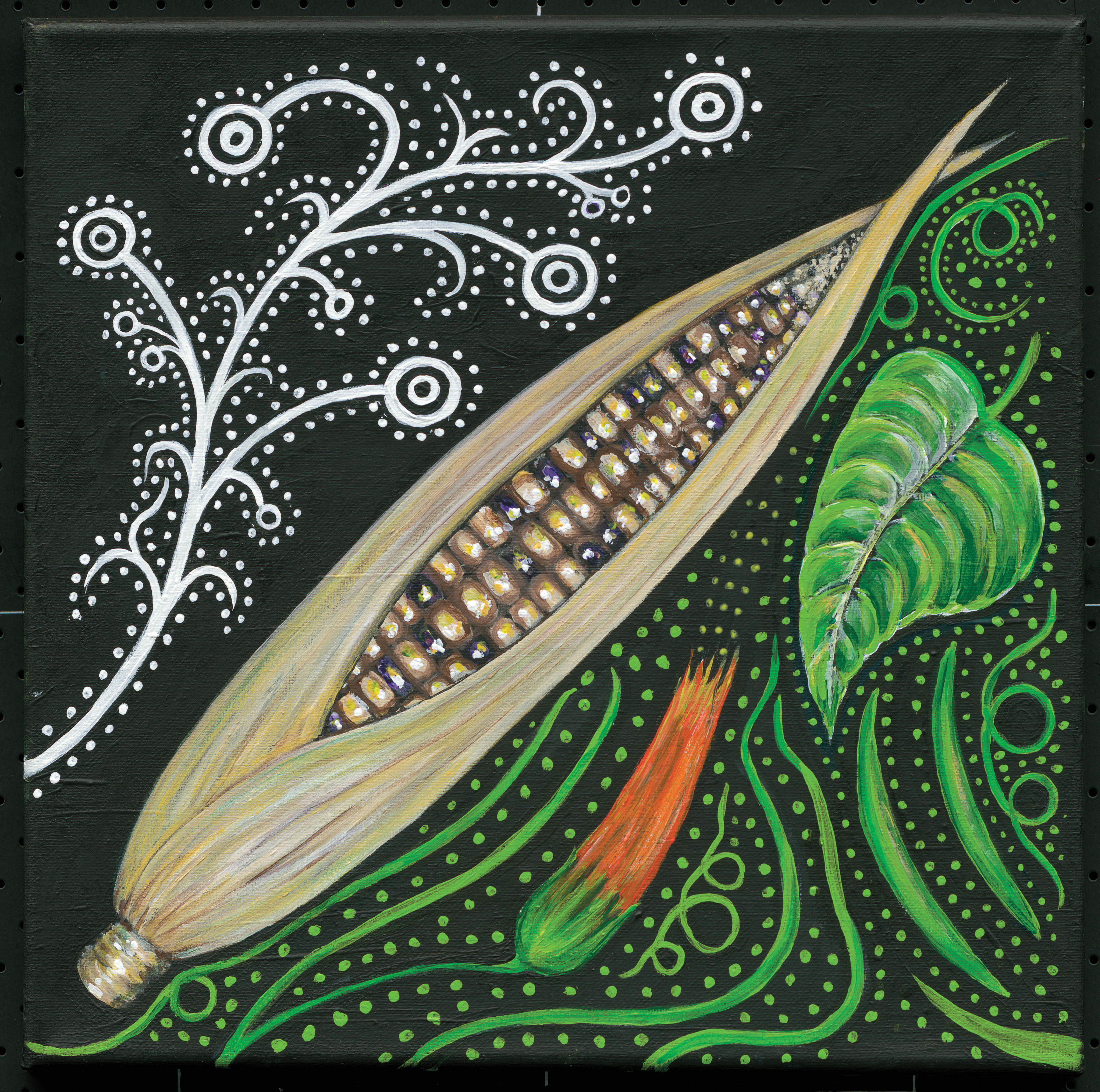 Illustration of corn in its husk.