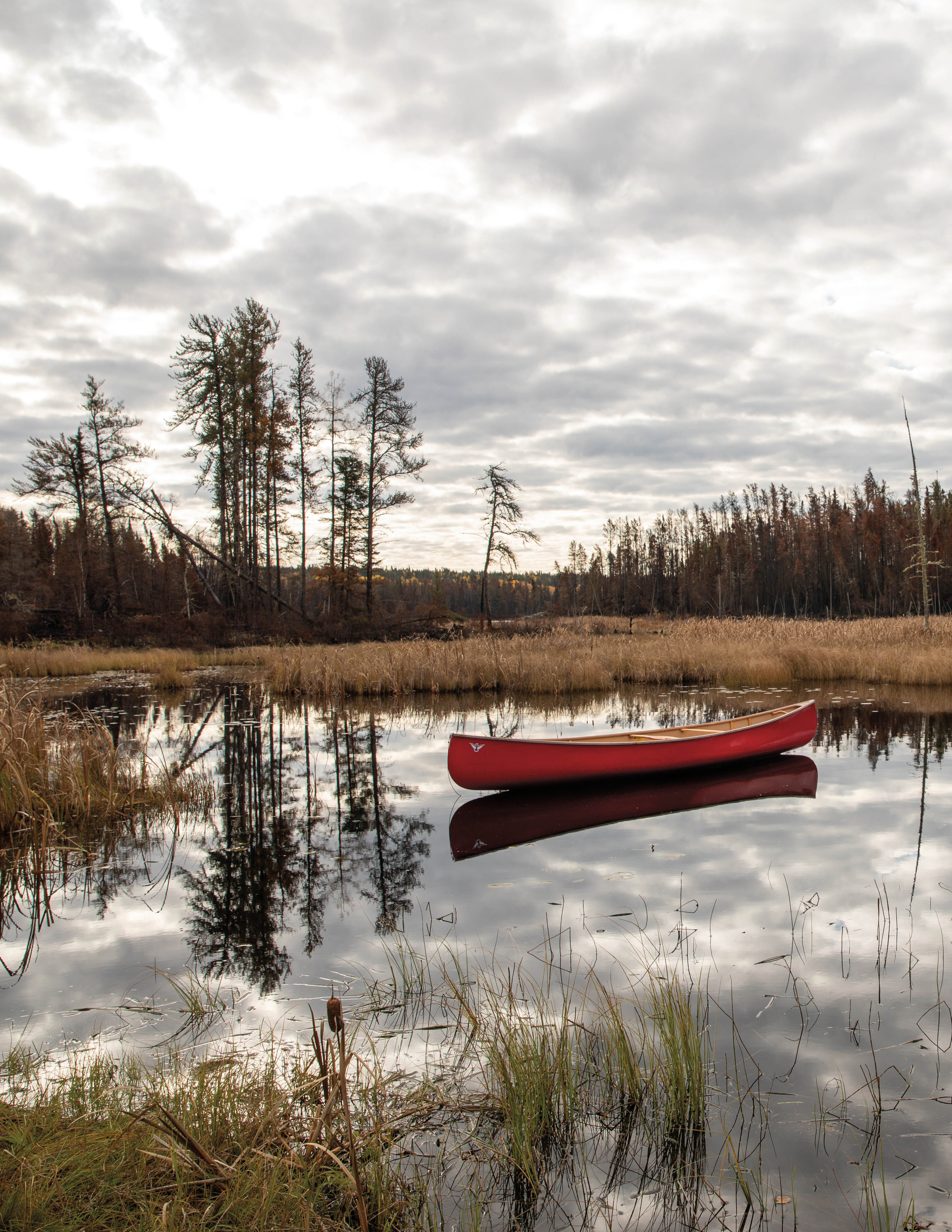 Canoe on lake water