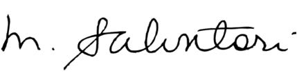 Michael Salvatori's signature