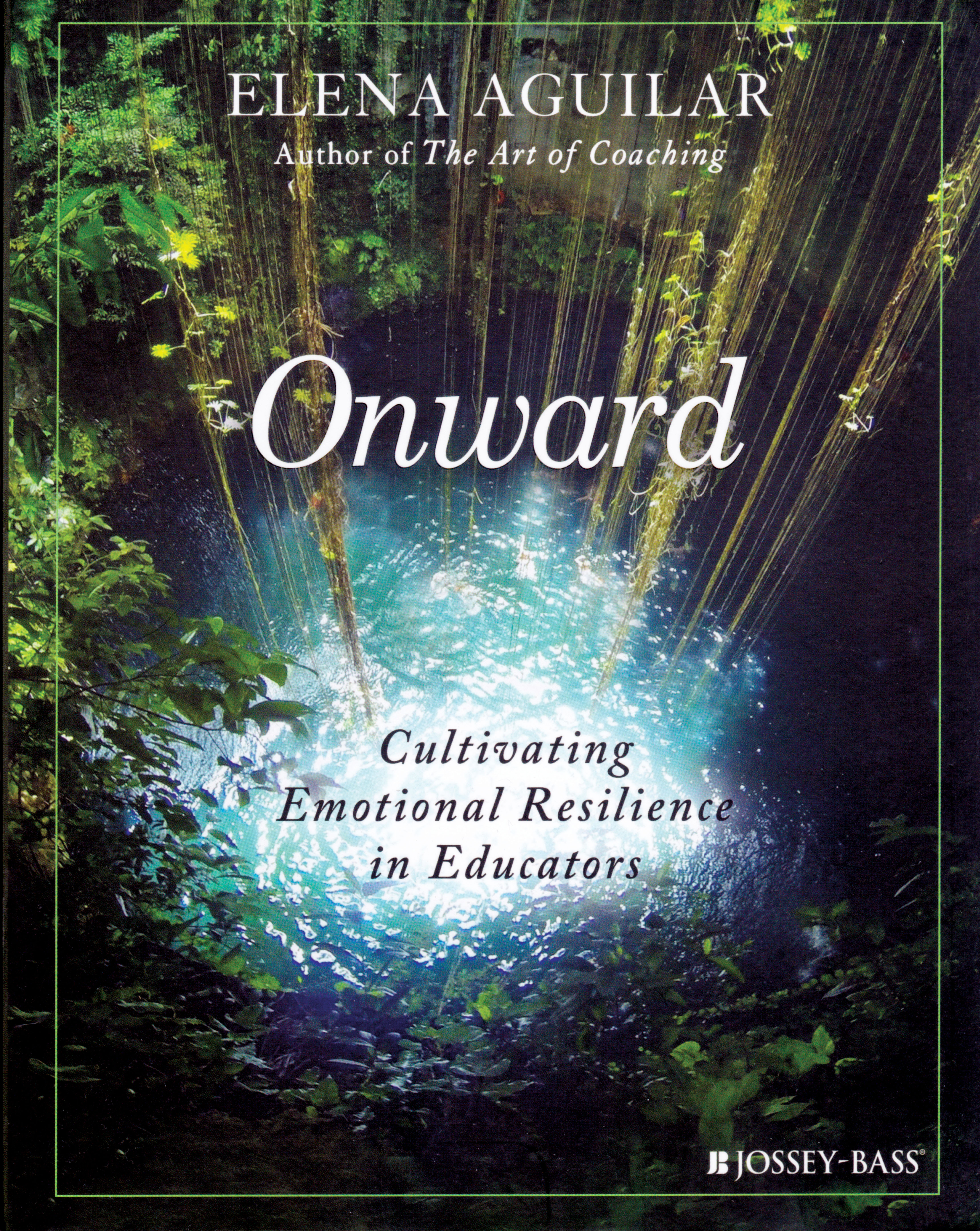 Photo of a book cover for 'Onward.' The cover is a photo from the top of a forest with light shining down on the ground.